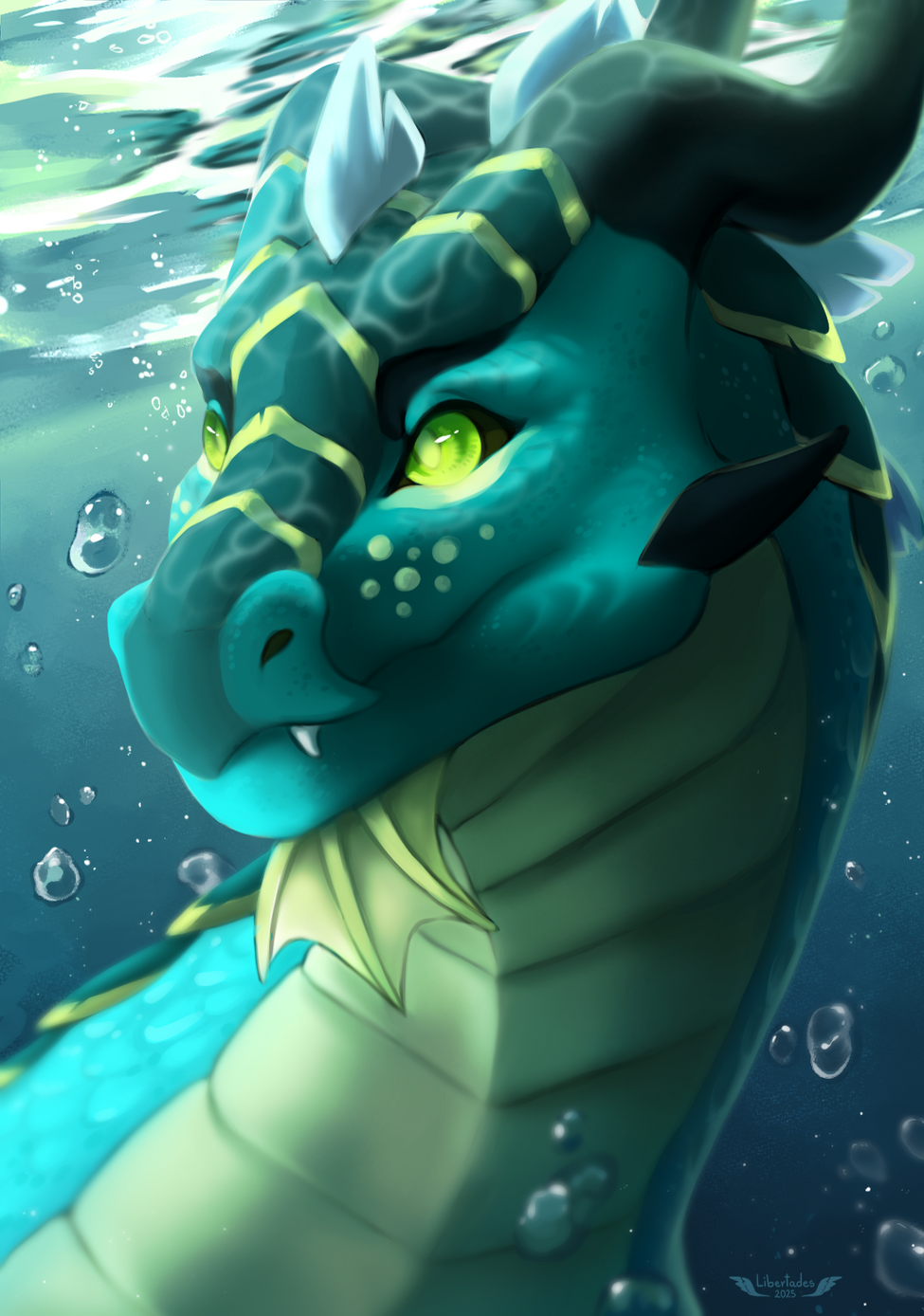 Underwater Underwater