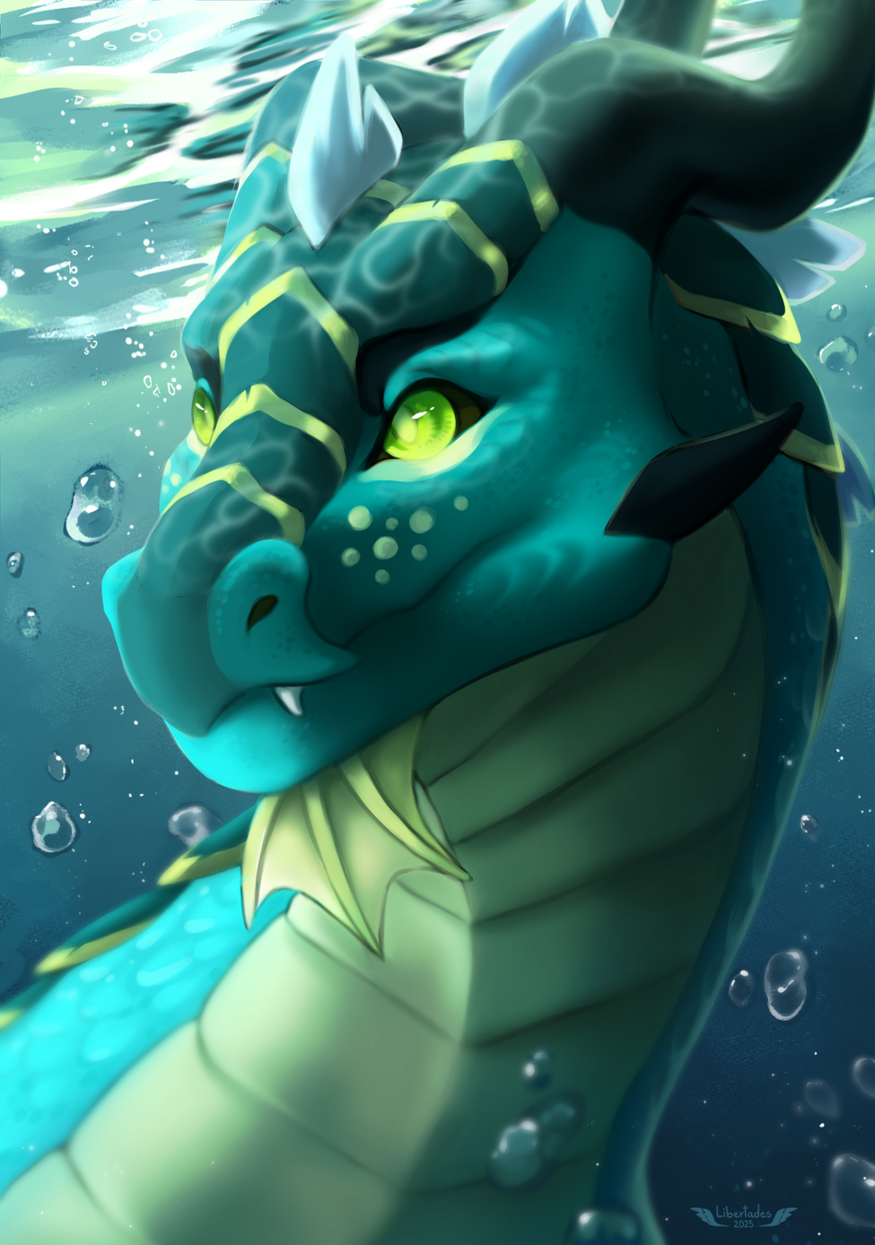 Underwater Underwater