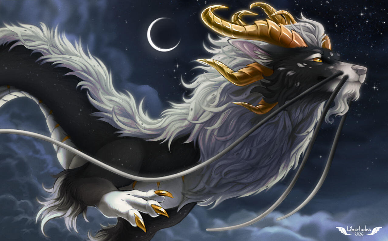 Midnight Flight Midnight Flight